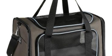 Alway use Pet Carrier when traveling